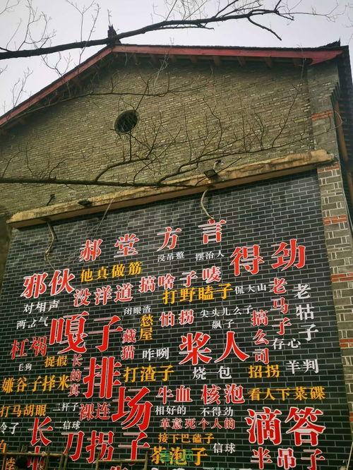 西善堂村爆料案件最新,真相渐露，疑云重重